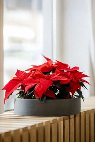 Miska na dekorácie CIRCULO, sklolaminát, Ø 40 cm, sivá