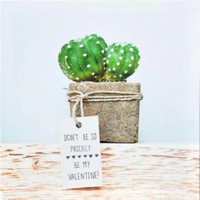 Obraz tlačený na plátne 28x28 PRC901