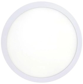 LED Stropné svietidlo LED/18W/230V 4200K pr. 21 cm biela