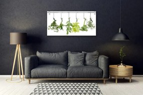 Skleneny obraz Listy príroda byliny 125x50 cm