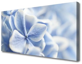 Obraz Canvas Kvety plátky príroda 100x50 cm