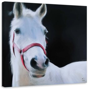 Obraz na plátně Bílí koně - 40x40 cm