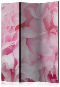 Artgeist Paraván - azalea (pink) [Room Dividers]