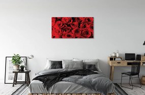 Obraz canvas ruže 140x70 cm