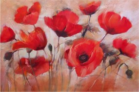 Obraz - Vlčie maky (90x60 cm)