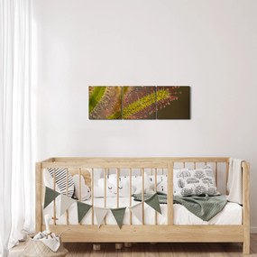 Obraz rastliny (s hodinami) (90x30 cm)