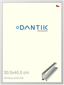 DANTIK rám na obraz 30x40 | ALU Stříbrná matná (Plexi Čiré)