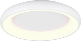 XXXLutz STROPNÉ LED SVIETIDLO, 62/10 cm Trio Leuchten - Interiérové svietidlá - 004102113902
