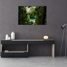 Obraz - Priezor medzi stromami (90x60 cm)