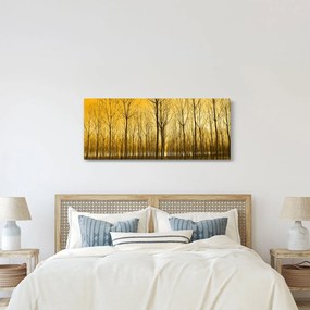 Obraz - Plantáž stromov (120x50 cm)