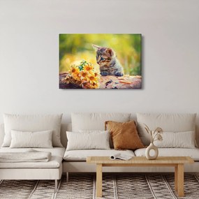 Obraz mačiatka pozerajúce sa na kvetinu (90x60 cm)