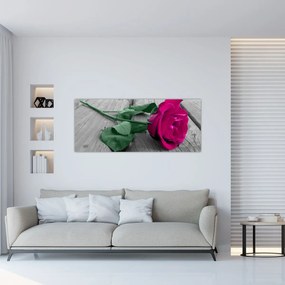 Obraz - Ružová ruža so zelenou stonkou (120x50 cm)