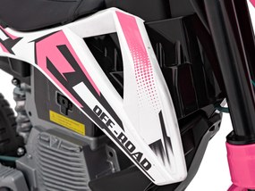 Ramiz Detská motorka na batérie PANTONE 361C Ružová + Audio panel + Pomalý štart + Kolesá EVA