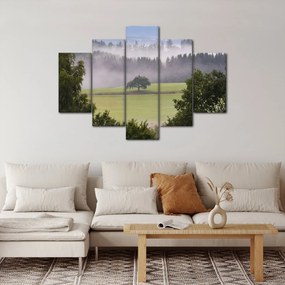 Obraz lúky so stromom (150x105 cm)