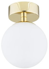 Argon 4004 - Kúpeľňové stropné svietidlo FLAVIO 1xE14/7W/230V IP44