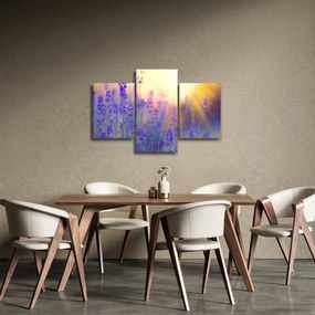 Obraz - Levanduľa (90x60 cm)