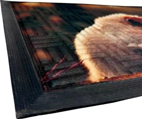 Home Elements Rohožka Kočka a pes