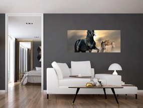 Obraz - Kone (120x50 cm)