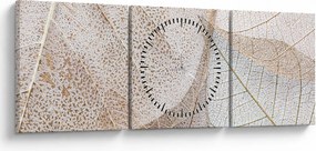 Obraz - Béžové listy (s hodinami) (90x30 cm)