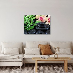Sklenený obraz - Kamene a orchidey (70x50 cm)