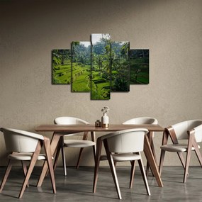 Obraz ryžových terás Tegalalang, Bali (150x105 cm)
