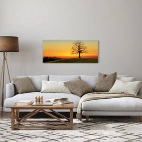 Obraz stromu na poli (120x50 cm)