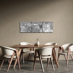 Obraz - Lišiak, čiernobiela (s hodinami) (90x30 cm)