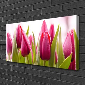 Obraz Canvas Tulipány kvety rastlina 120x60 cm