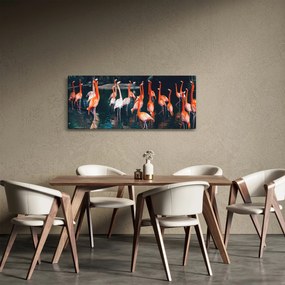 Obraz stádo plameniakov (120x50 cm)