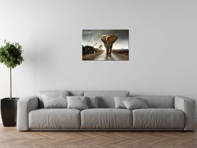 Gario Obraz s hodinami Osamelý silný slon Rozmery: 60 x 40 cm