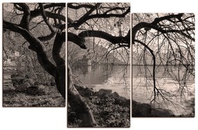 Obraz na plátne - Jeseň pri jazere 1198QD (120x80 cm)