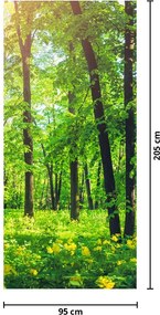 Fototapeta na dvere - Jarný listnatý les (95x205cm)
