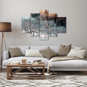 Obraz - Zamrznutá lúka (150x105 cm)