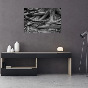 Obraz - Korene stromu (90x60 cm)