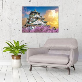 Obraz - Osacký hrad (70x50 cm)