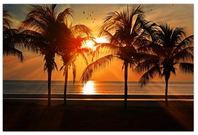 Obraz palmy v západe slnka (90x60 cm)