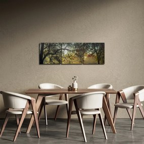Obraz východu slnka (s hodinami) (90x30 cm)