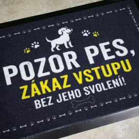 Mercury Flooring, Rohožka so psím povolením 40x60 cm - na von aj na doma, 40x60, šedá