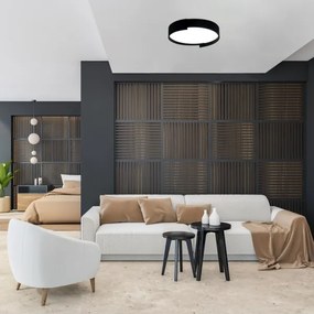 Rabalux 71306 - LED Stm. stropné svietidlo LALEH LED/48W/230V 3000-6500K + DO