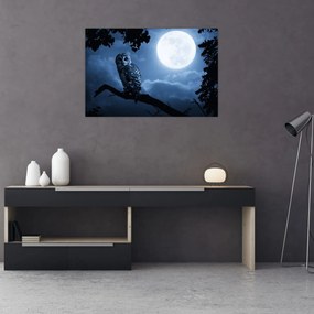 Obraz - Nočná sova (90x60 cm)