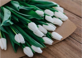 Obraz kytice bielych tulipánov (70x50 cm)