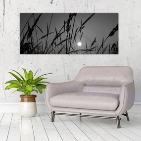 Obraz - Lúka so západom slnka (120x50 cm)