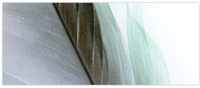 Obraz - Perie, makro (120x50 cm)