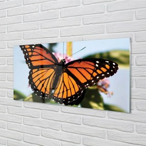 Sklenený obraz farebný motýľ 140x70 cm