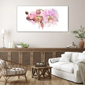 Skleneny obraz Akvarel orchidea kvetina