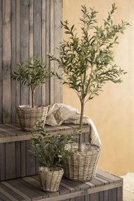 Ib Laursen Dekoratívny umelý olivovník 75 cm