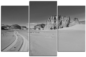Obraz na plátne - Cesta v púšti 1129QC (120x80 cm)