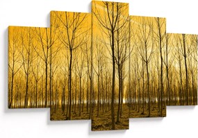 Obraz lesa pri západe slnka (150x105 cm)