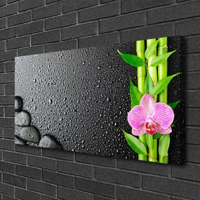 Obraz Canvas Bambus stonka kvet rastlina 125x50 cm