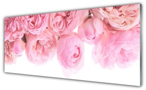 Obraz plexi Ruže kvety rastlina 125x50 cm